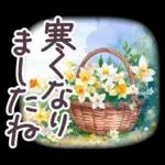 秋冬 京都 でか文字 水彩✿大人上品お花