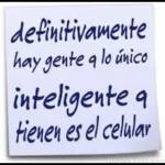 Eres tonto o masticas agua?