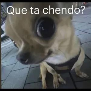 Que ta chendo? - getsticker.com