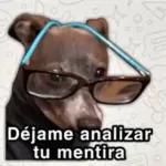 Déjame analizar tu mentira