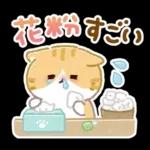 ふんわりにゃんこの春