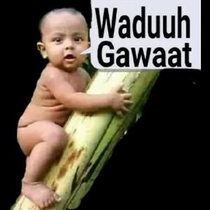Waduuh Gawaat - getsticker.com
