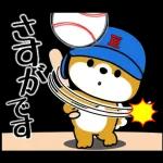 飛び出す！豆柴「野球と日常」