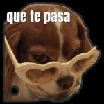 Soy Rostro Hazle Zomm