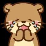 コツメカワウソ♡基本の言葉 日常