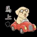 平平安安才是福🧧