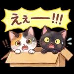 ずっと使える♪猫たちの日常