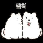 왕털뭉치 사모예드