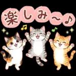 ずっと使える♪猫たちの日常