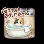 三毛猫の冬のあいさつ