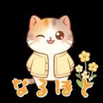 ぽかぽか春ねこライフ