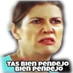 TAS BIEN PENDEJO BIEN PENDEJO - getsticker.com