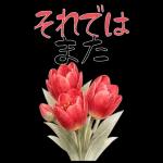 もふ屋画♪チップとデール