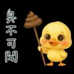 陰陽怪氣的小鴨鴨