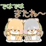 初夏❤️いやしばいぬ❤️16/柴犬