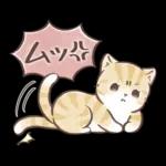 毎日使える♡大人可愛いガーリーキャット2