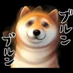 柴犬ワンダフル！！！！！