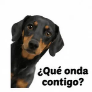 ¿Qué onda contigo? - getsticker.com