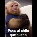 Creo que esto te va a gustar 💕