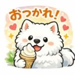 超かわいいサモエド犬の日常 普段使いに！