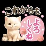にゃんこ達の❤️気持ちたっぷり長文❤ねこ