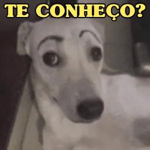 TE CONHEÇO? - getsticker.com