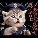 リアル猫警察官