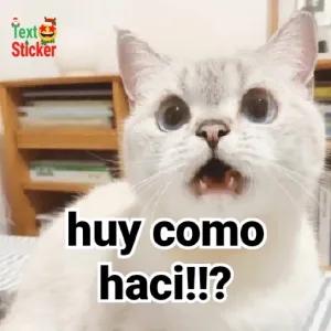 Text Sticker huy como haci!!? - getsticker.com