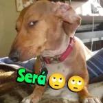 Muero por llenarte de abrazos