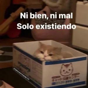 Ni bien, ni mal Solo existiendo - getsticker.com