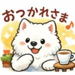 超かわいいサモエド犬の日常 普段使いに！