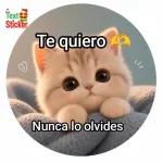 Te quiero Nunca lo olvides