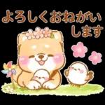 シマエナガといやしばいぬ❤️春/柴犬敬語