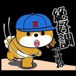 飛び出す！豆柴「野球と日常」