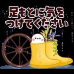 ブチャコの日常生活16