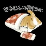 あけおめにゃん午