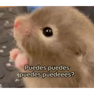 hmdHrJ
