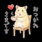 ゴールデンハムスター♡キンクマ