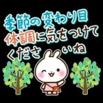 うさぎさん 春・梅雨・初夏