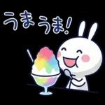 毎日使える夏☆ほぼ白うさぎ