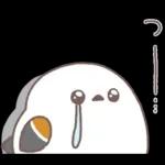 シマエナガさん♥️家族で使える連絡用3