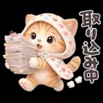 ちびニャンず♡毎日連絡スタンプ