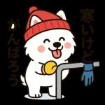 サモエドとぬくぬく日和