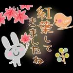 大人の気遣い19♡カラフル秋冬