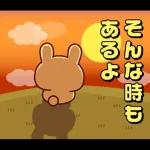 連絡白うさちゃん