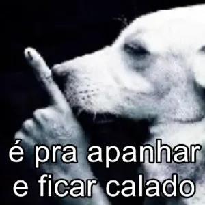 é pra apanhar e ficar calado - getsticker.com