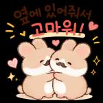 햄찌와 함께하는 포근한 하루