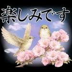 桜舞う！鶯と和桜の春を感じる挨拶スタンプ