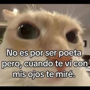 No es por ser poeta pero, cuando te ví con mis ojos te miré. - getsticker.com
