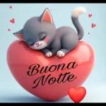 Buona Notte